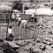 Boys working in the vegetable patch at Bethany Boys' Home